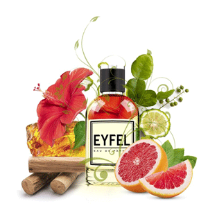 ww140 ادکلن زنانه ایفل اصل EYFEL Women's Eau de Parfum Code W140 – Inspired by Zen Shiseido با رایحه زن شیسیدو 50 میل - Image 1