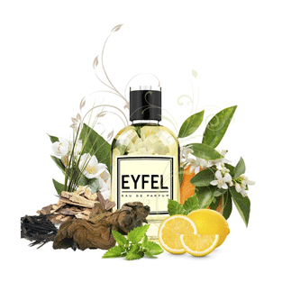 ww201 ادکلن زنانه ایفل اصل EYFEL Women’s Eau de Parfum Code W201 – Black Opium YSL با رایحه بلک اوپیوم وایاسال 50 میل - Image 1